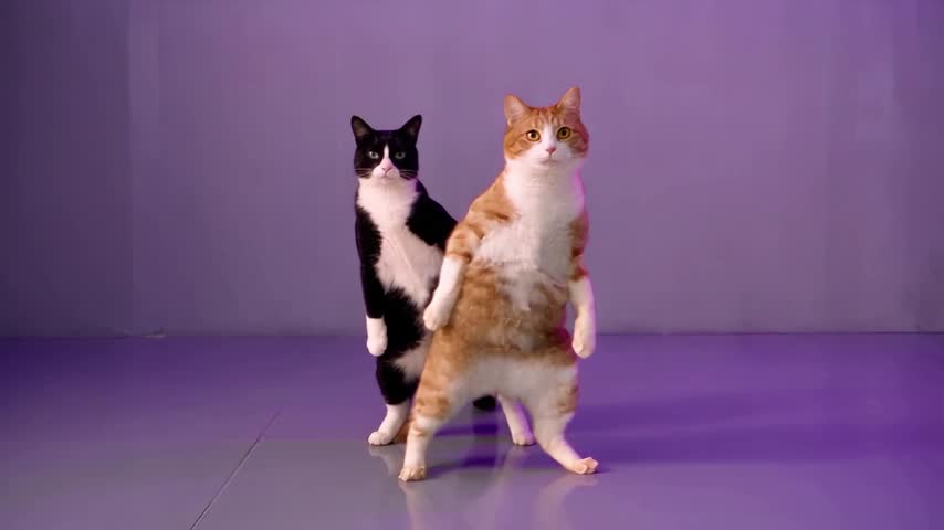 NEON Duo Dance generated example still